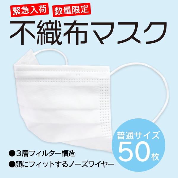 マスク 在庫あり 【 不織布マスク 普通サイズ 50枚入 】 3層フィルター 大人用