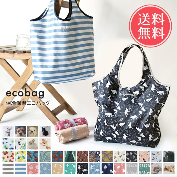 保冷保温コンパクトエコバッグ エコバッグ 保冷 保温 レジカゴ 折りたたみ メール便送料無料