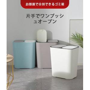 &ゴミ箱 分別 ダストボックス 北欧 ...の詳細画像1