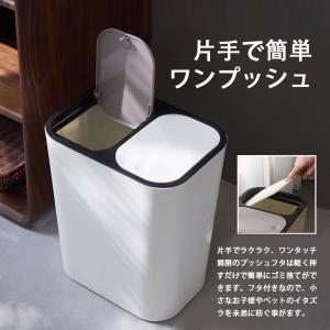 &ゴミ箱 分別 ダストボックス 北欧 ...の詳細画像3