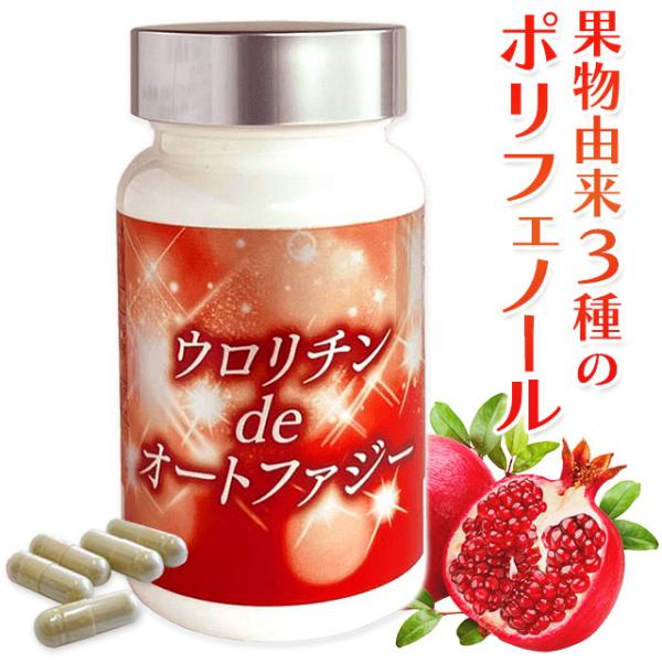ウロリチンdeオートファジー（290mg×90粒）エラグ酸 ポリフェノール ザクロ｜全国送料無料
