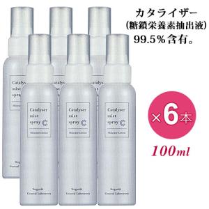 カタライザーミストスプレー 100ml 3本セット（ミスト化粧水) 化粧水