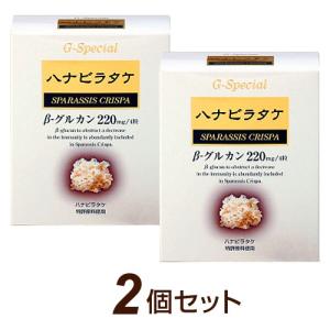 ハナビラタケ はなびらたけ BIO MH-3 お得な2個セット 320mg×60