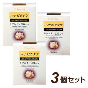 バイオラバーベルトDXタイプ（Sサイズ）山本化学工業 正規品 赤外線