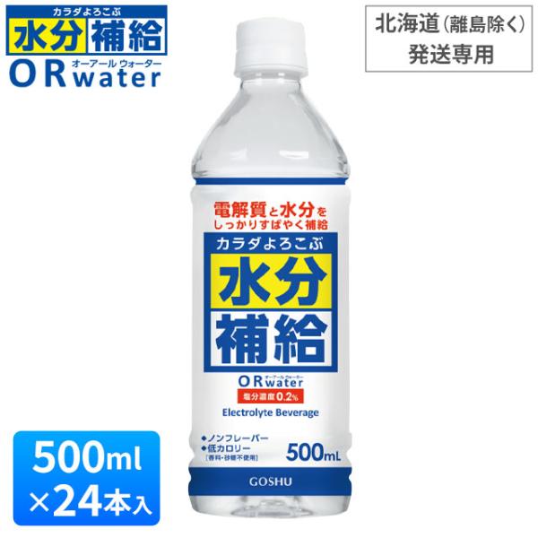 カラダよろこぶ水分補給 ORウォーター（500ml×24本入）補水対策 オーアールウォーター 五州薬...