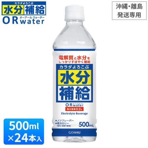 カラダよろこぶ水分補給 ORウォーター（500ml×24本入）補水対策 オーアールウォーター 五州薬...