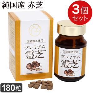 300円OFFクーポン付｜養気霊芝 純末（1.5g×60包）直井霊芝GY株 レイシ