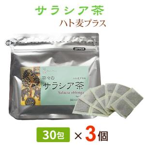 茶々 サラシア茶 ハト麦プラス（30包）3個セット｜全国送料無料｜ably