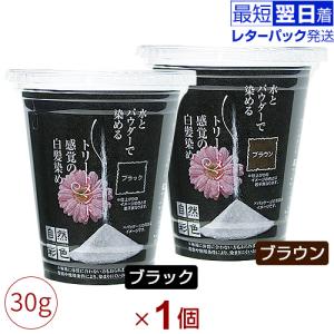 フェイスパーフェクション ビオーラ 電動美顔器 フェイスパーフェク