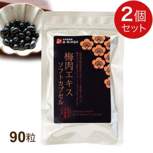 姫マツタケ エキス顆粒（5g×60袋）【1箱】シエン 岩出101株 多糖体