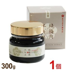 健康フーズ 梅肉エキス 90g 6個セット 送料無料 （健康フーズ