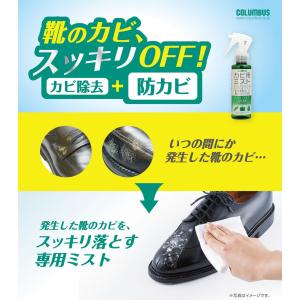 レザーキュア カビ用 ミスト プラチナ スプレ...の詳細画像1