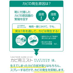 レザーキュア カビ用 ミスト プラチナ スプレ...の詳細画像2