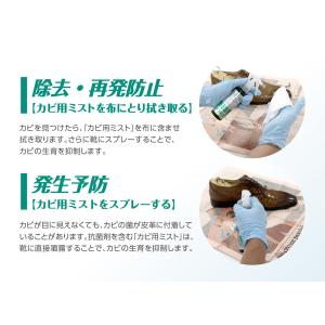 レザーキュア カビ用 ミスト プラチナ スプレ...の詳細画像3