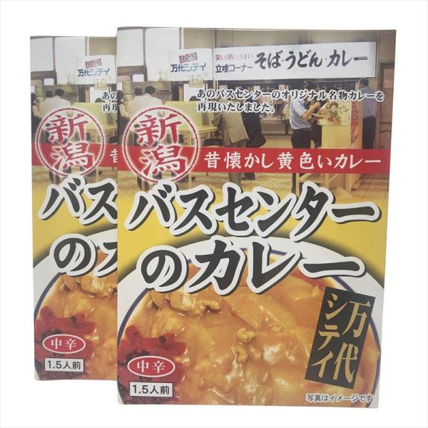 バスセンターのカレー 220ｇ (1.5人前) 2箱セット 中辛 万代シティ 新潟  B級グルメ ご...