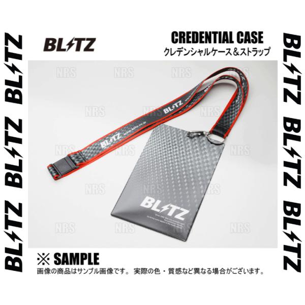 BLITZ ブリッツ クレデンシャルケース (ストラップ付) カーボン調 グラフィック柄 (1392...