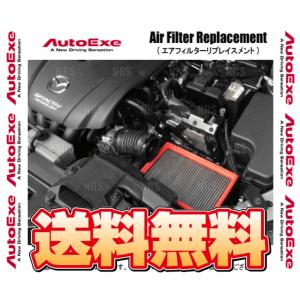 AutoExe オートエクゼ スポーツインダクションボックス (エア
