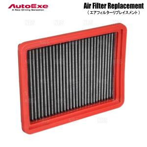 オートエクゼ AutoExe スポーツインダクションボックス (エア