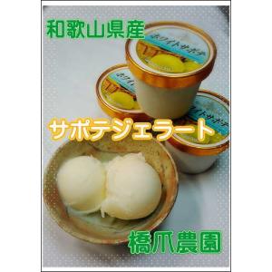 国産アボカド（ベーコン種）1．7Kg : アボカドの橋爪農園 - 通販