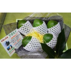 国産アボカド（ベーコン種）１．５ｋｇ入り