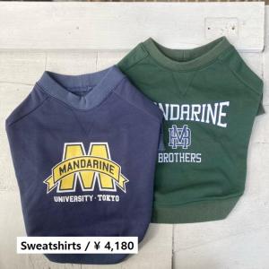 ペットファッション