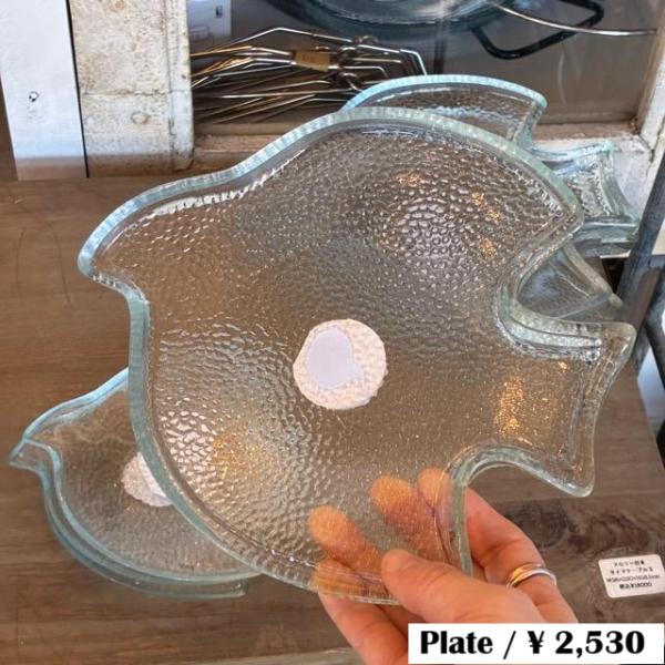 India SCENERY Glass Bird Plate L　インド　シナリーガラスバードプレー...