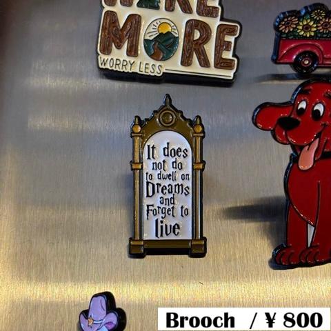 TOPANGA Jewelry Pin Brooch  It does not do to dwel...