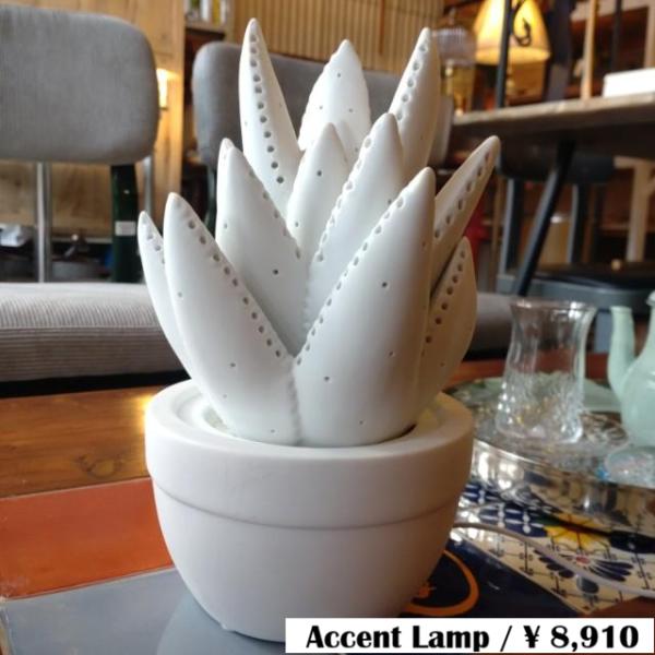 Dulton　PORCELAIN ALOE LIGHT MAT WHITE　Lamp　AccentL...