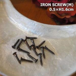 アイアン　アルファベットプレート用ビスM　0.5×1.6cm　アルファベットプレート用　