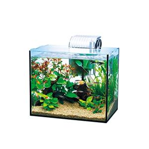テトラ Tetra 水槽 オールグラスアクアリウム Ga 300f 水槽 アクアリウム 熱帯魚 メダカ 金魚 最安値 価格比較 Yahoo ショッピング 口コミ 評判からも探せる