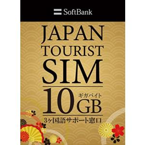 sim 10GB データ専用 プリペイドsim 