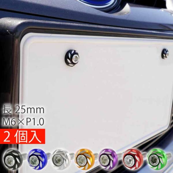 ナンバープレートボルト ネジ カラーワッシャー 2個入 ビス M6 P1.0 フロント部の雰囲気が変...