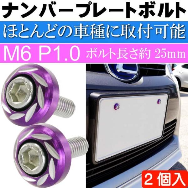 ナンバープレートボルト ネジ カラーワッシャー 紫2個 ビス M6 P1.0 フロント部の雰囲気が変...