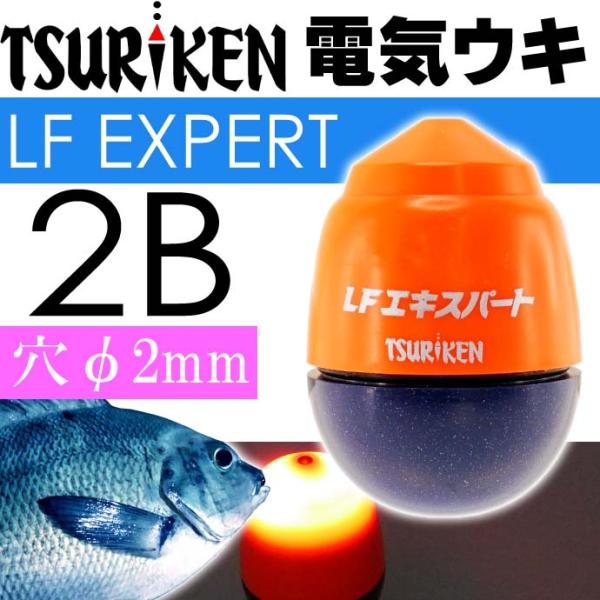 中通し電気ウキ LFエキスパート オレンジ 2B 16.2g TSURIKEN 釣研 釣り具 夜釣り...