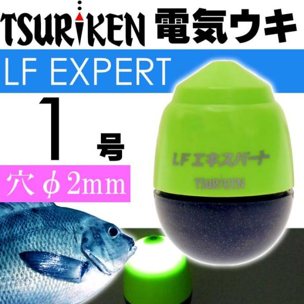 中通し電気ウキ LFエキスパート マスカット 1号 13.5g TSURIKEN 釣研 釣り具 夜釣...