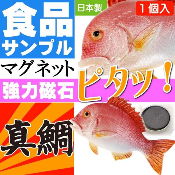 真鯛 マダイ タイ おもしろマグネット 食品サンプル風 店舗 事務所 色々似合う文具マグネット ms...