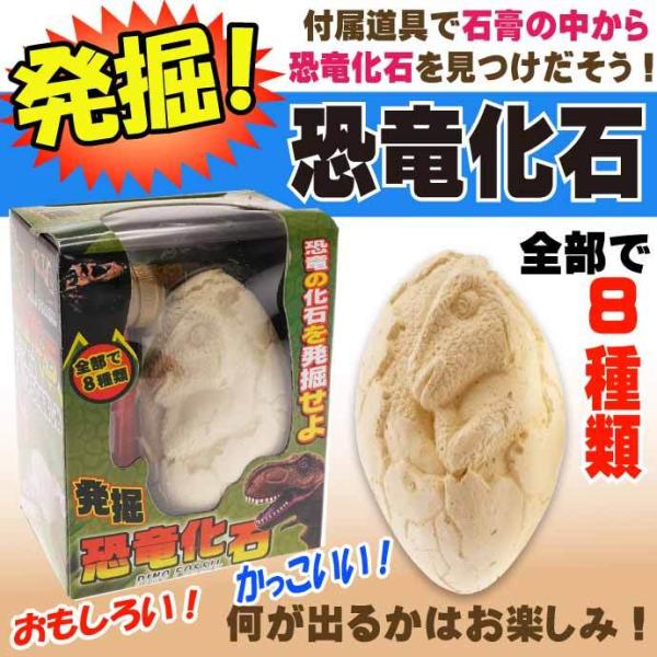 発掘！恐竜化石 No.206-631 株式会社ファースト・アロー おもちゃ 発掘して見つける恐竜の化...