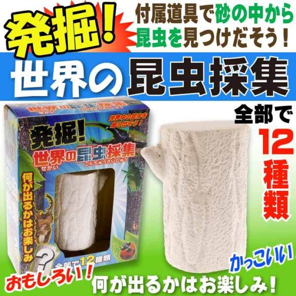 発掘！世界の昆虫採集 No.206-634 株式会社ファースト・アロー おもちゃ 発掘して見つける昆...