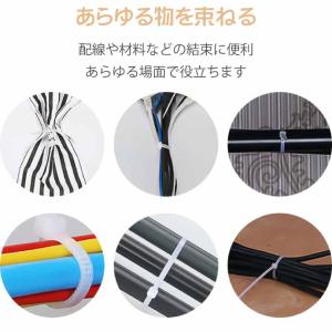 結束バンド タイラップ 黒 ブラック or 白...の詳細画像5
