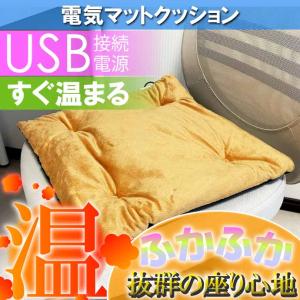 USB電源ホットマット ミニ電気マット 電気毛布 クッション 座布団 オレンジ イス用クッション 車内シートクッション 足元マット Rk018｜absolute