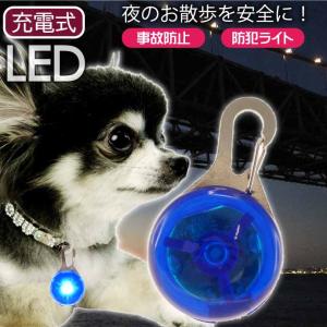 お散歩LEDライト 充電式 首輪用 防犯ライト ブルー 光るLED首輪ライト セーフティライト ペット用品 Rk288｜absolute