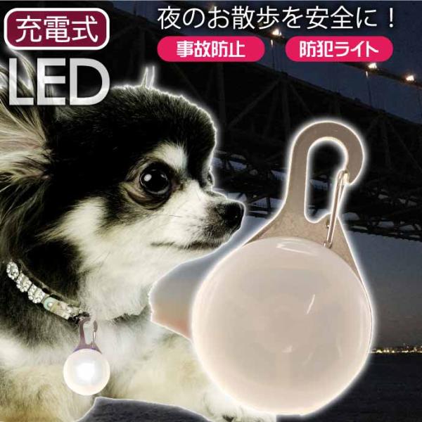 お散歩LEDライト 充電式 首輪用 防犯ライト ホワイト 光るLED首輪ライト セーフティライト ペ...
