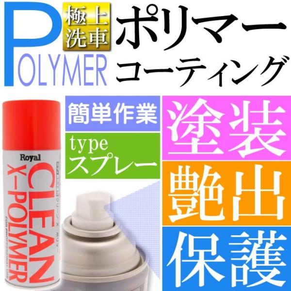 クリーンX ポリマー 420ml スポンジ付 スプレーポリマー 洗車 CLEAN-X 車ボディコーテ...
