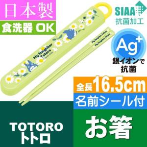 トトロ デイジー 抗菌 お箸 ケース入り ABS2AMAG キャラクターグッズ