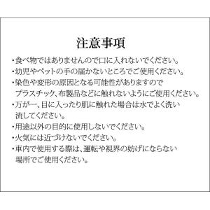 ビキニガール Seaside Bikini 芳...の詳細画像2