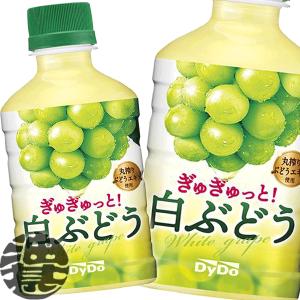 『送料無料!』(地域限定)ダイドー ぎゅぎゅっと...の商品画像