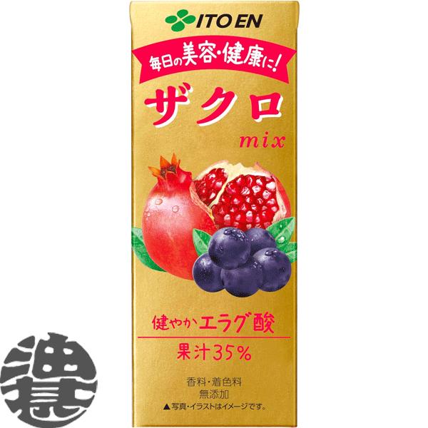 『２ケース送料無料！』（地域限定）伊藤園 ザクロMIX 200ml紙パック×48本【果実飲料 ザクロ...