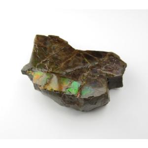 天然アンモナイト アンモライト 化石 標本 マダガスカル ディスク 円盤