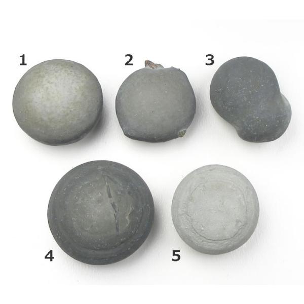 フェアリーエッグ フェアリーシード H&amp;E社 妖精 生ける地球とのつながり 自分の存在への喜び フェ...