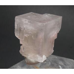 ピンクハライト シャープで美しい結晶 お祓いと幸福の愛の石 Halitep027 Intrusionlab